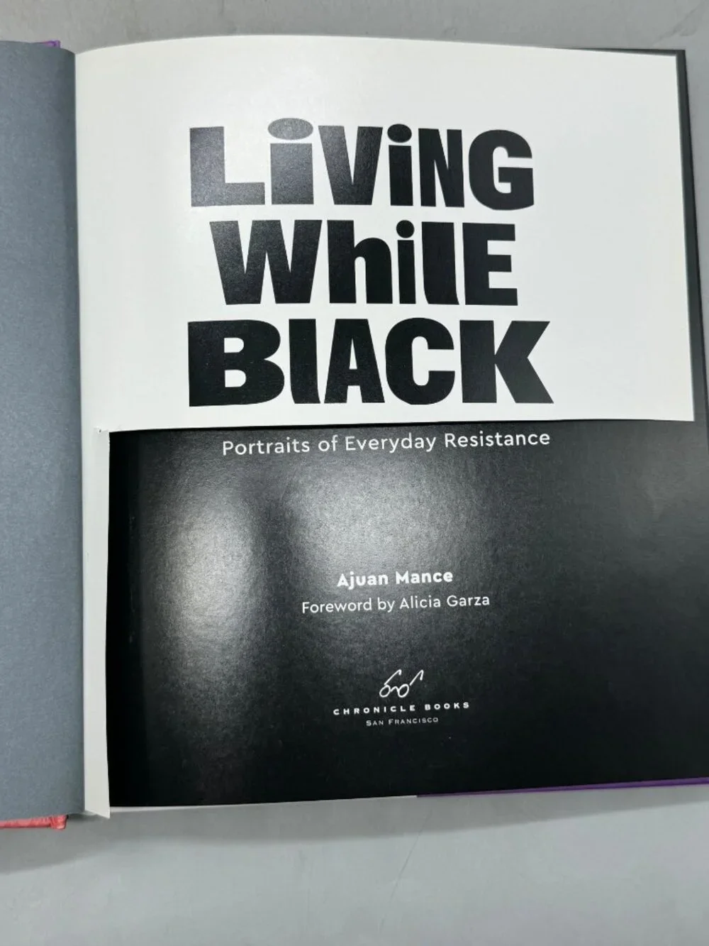 Chronicle Books this hardcover